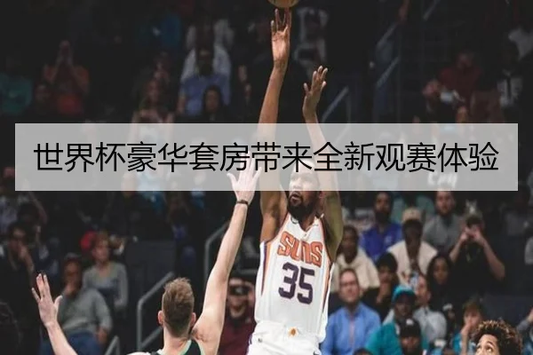 世界杯豪华套房带来全新观赛体验