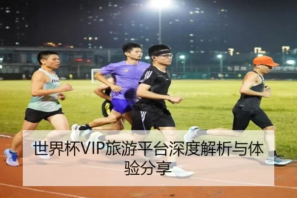 世界杯VIP旅游平台深度解析与体验分享