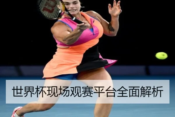 世界杯现场观赛平台全面解析