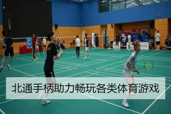 北通手柄助力畅玩各类体育游戏