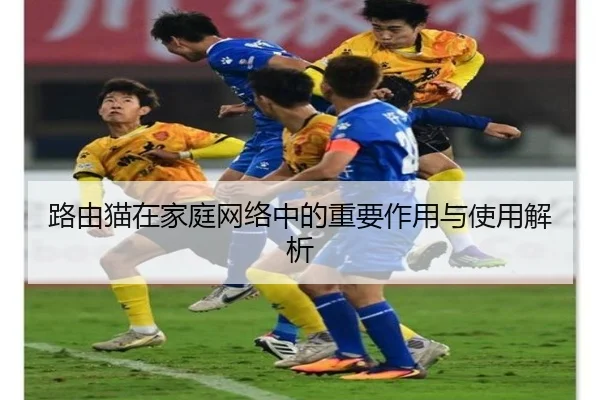 路由猫在家庭网络中的重要作用与使用解析