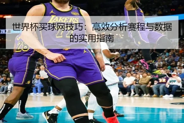 世界杯买球网技巧：高效分析赛程与数据的实用指南