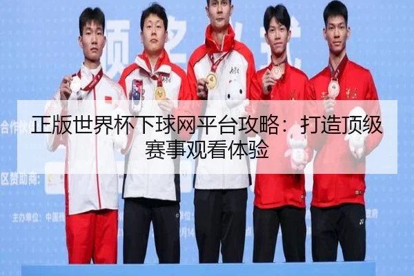 正版世界杯下球网平台攻略：打造顶级赛事观看体验