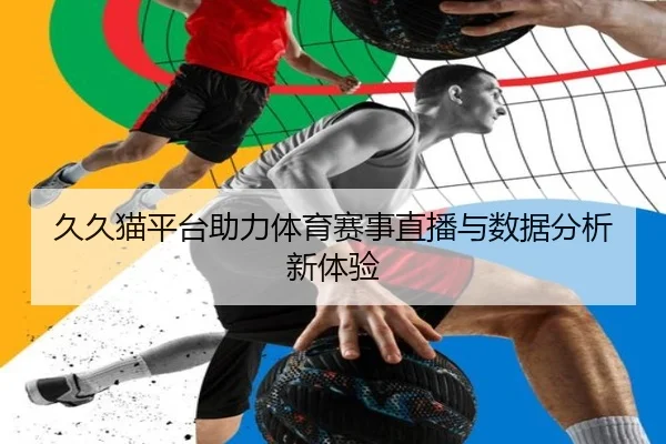 久久猫平台助力体育赛事直播与数据分析新体验